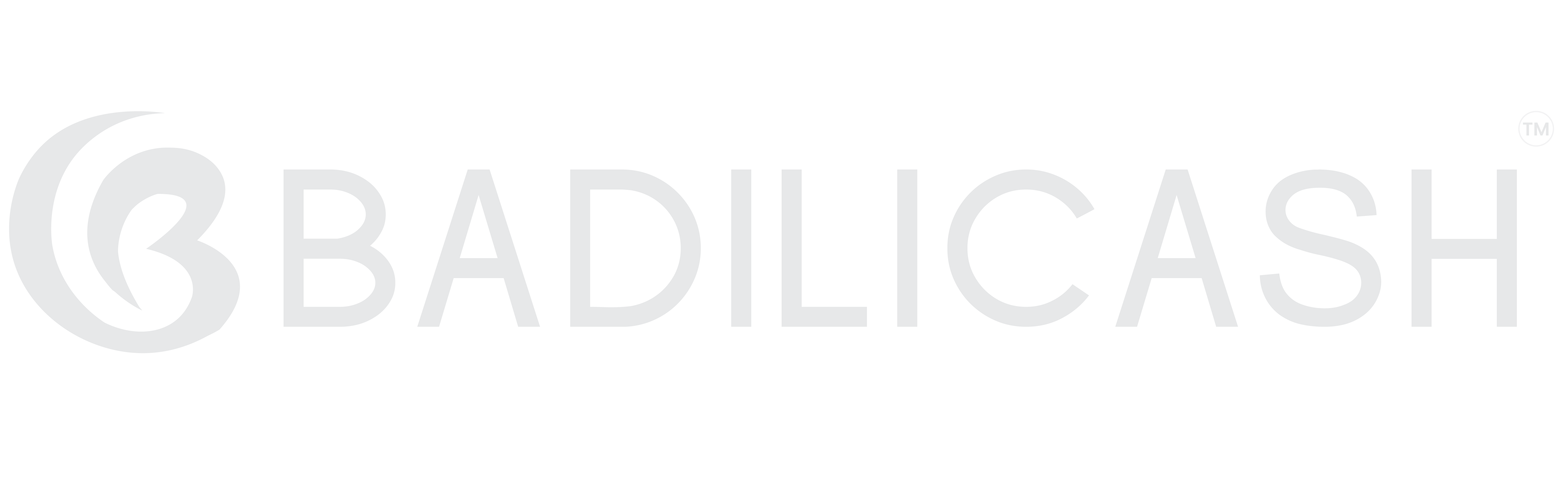 Badilicashlogo